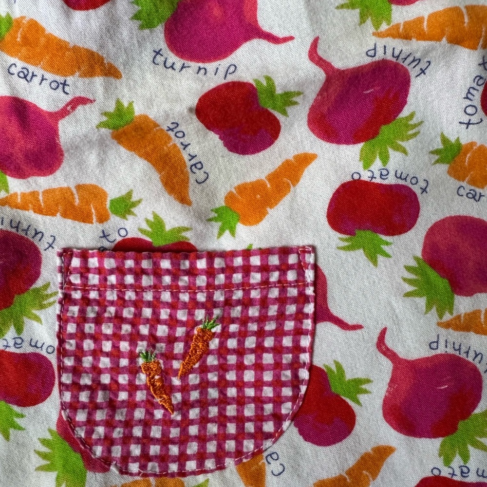 Rainbow Tag Gymboree Garden Line Top - Picture 3 of 4